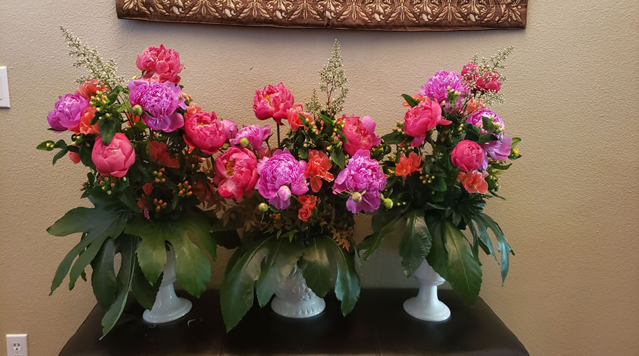 Assorted Peonies, Red Godetia, Pink Hypericum, Bamboo Nandina, & Fig